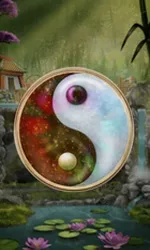 Panda Money